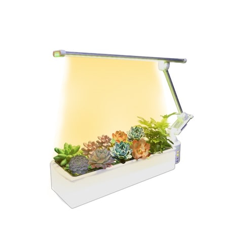 Opcom Farm Green@Heart O2 Garden Tabletop Hydroponic Unit for Succulents OFG006GS